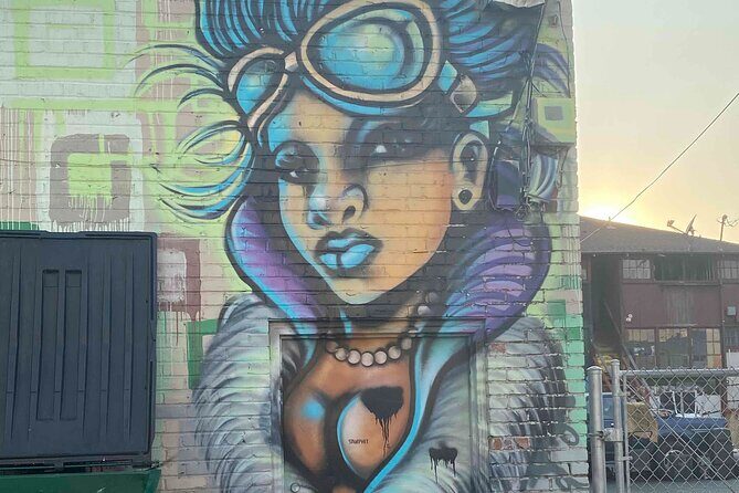 MidTown Mural Pedicab Tour - Who Will Love This Tour?