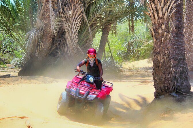 Migriño Beach ATV and Horseback Riding Experience - Who Will Love This Tour?