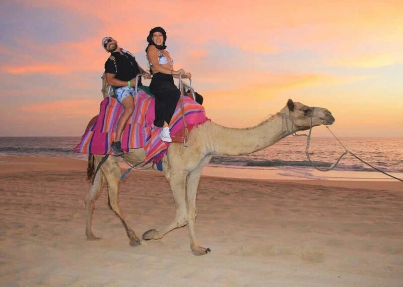 Migrino Beach Camel Ride with Lunch, Photos, & Drinks - Key Points