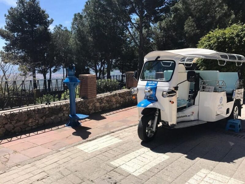 Mijas: Panoramic city tour with an electric Tuk Tuk - What’s Included and Practical Details