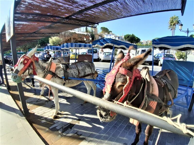 Mijas Pueblo: Private trip from Costa del Sol - FAQ