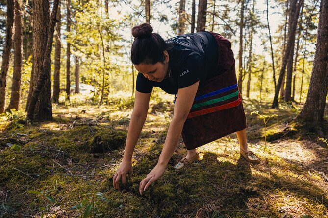 Mi'kmaq Heritage Path Tour - The Experience’s Value and Practicalities