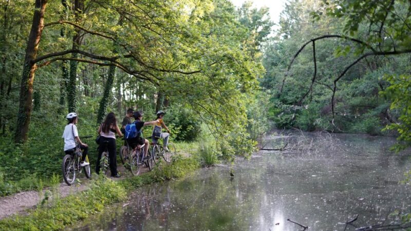 Milan: Bike Tour with Picnic on the turtle lake - The Sum Up: Who Will Love This Tour?
