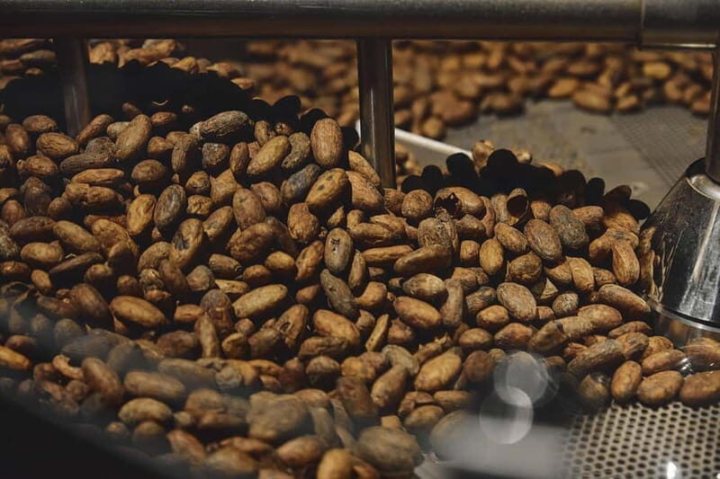 Milan: Enrico Rizzi Chocolate Factory Tour with tasting - What Makes This Tour Stand Out?