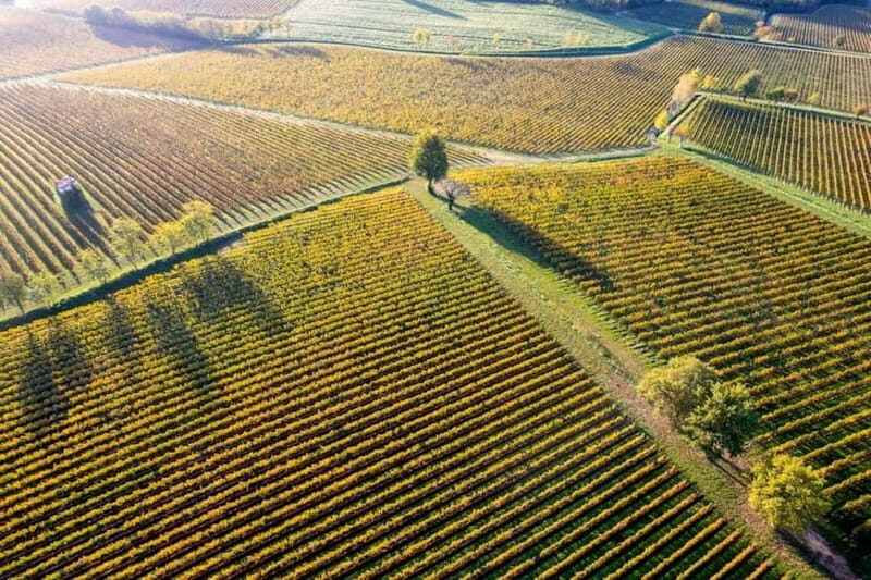 Milan: Lake Iseo & Franciacorta Wine Region with Cruise - FAQs