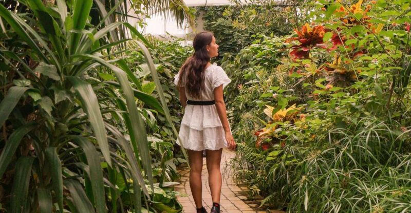 Milano Marittima: Casa delle Farfalle Entry Ticket - A Closer Look at the Butterfly Experience