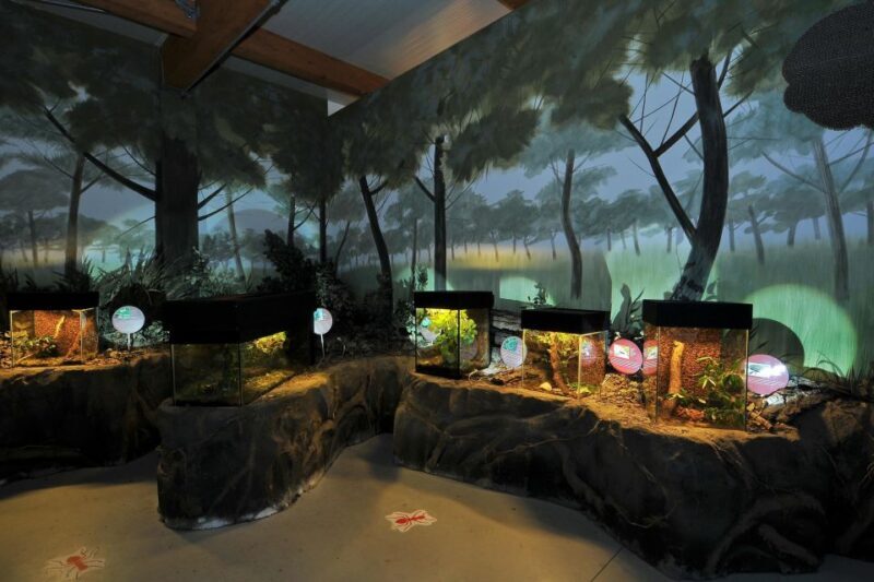 Milano Marittima: Casa delle Farfalle Entry Ticket - Authentic Insights from Visitors