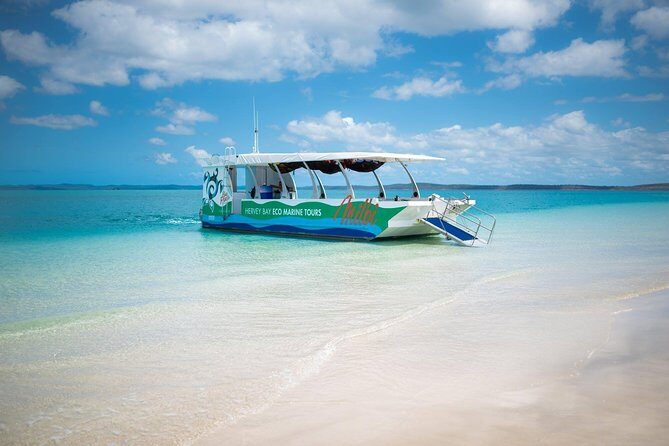 Milbi Sunset Cruise with Champagne and Prawns - Who Is This Tour Best For?