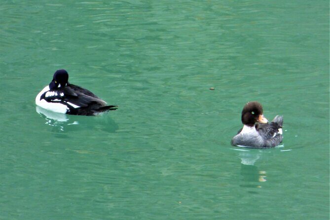 Miles Canyon: a Smartphone Audio Nature Tour - FAQ