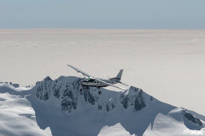 Milford Sound and Big Five Glaciers Scenic Flight - Key Points