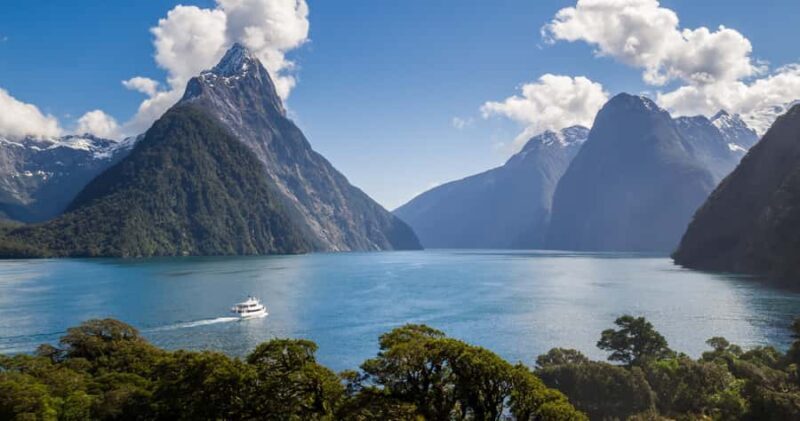 Milford Sound: Boutique Small-Boat Cruise - Who Will Love This Tour?
