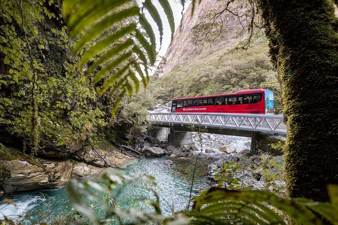 Milford Sound Coach & Cruise ex Te Anau Stunning Views with Lunch - An Overview of the Milford Sound Experience