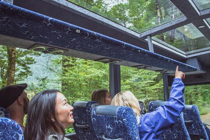 Milford Sound Coach & Cruise Tour from Te Anau - A Full Breakdown of the Experience