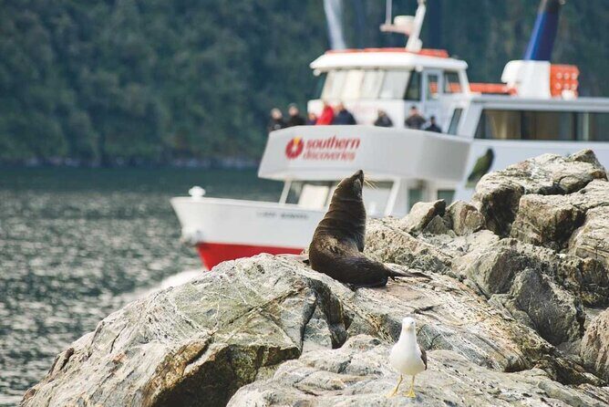 Milford Sound Coach & Extended Cruise from Queenstown - The Sum Up