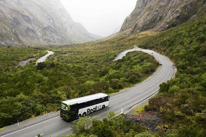 Milford Sound Cruise from Queenstown or Te Anau - Frequently Asked Questions