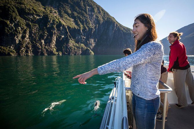 Milford Sound Cruise: Stunning Views & Optional Picnic or Buffet - The Sum Up