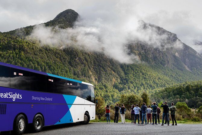 Milford Sound Day Tour from Queenstown - A Gentle Dive Into the Experience