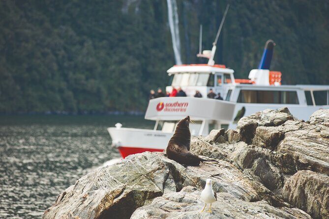 Milford Sound Extended Cruise with Southern Discoveries - Key Points