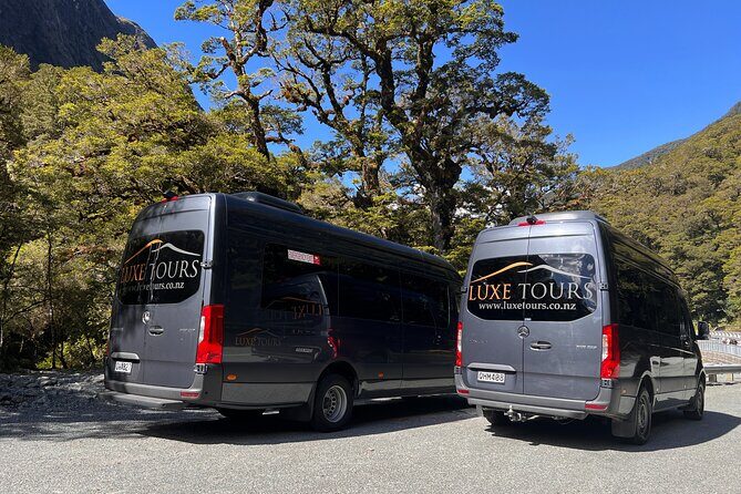 Milford Sound Full Day Tour from Te Anau with Cruise - Introduction to the Milford Sound Full Day Tour