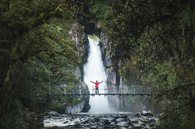 Milford Sound Nature Cruise and Self-Guided Scenic Track Walk - Authentic Perspectives from Travelers