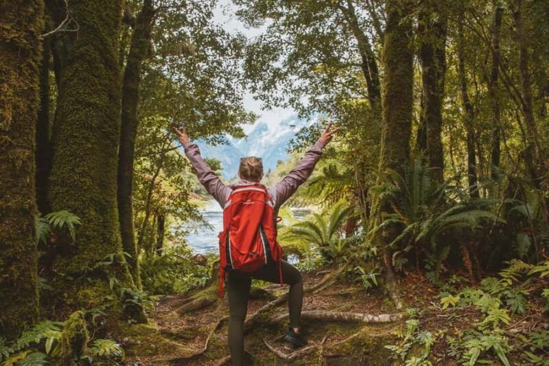 Milford Sound: Nature Cruise & Milford Track Walk - Final Thoughts