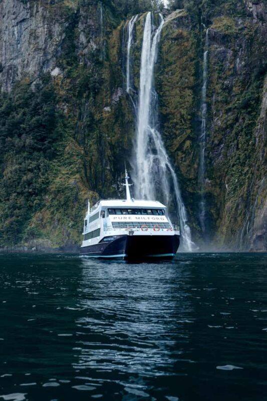 Milford Sound: Nature Cruise on a Modern Catamaran - Key Points