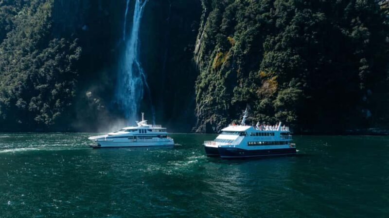 Milford Sound: Nature Cruise on a Modern Catamaran - Introduction: What the Milford Sound Catamaran Cruise Offers