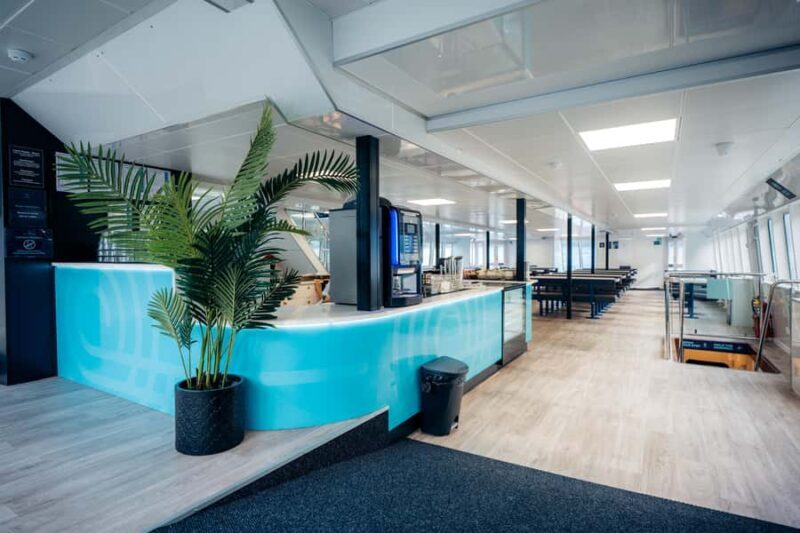 Milford Sound: Nature Cruise on a Modern Catamaran - The Value of This Experience