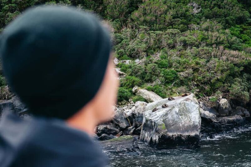 Milford Sound: Nature Cruise on a Modern Catamaran - Final Thoughts