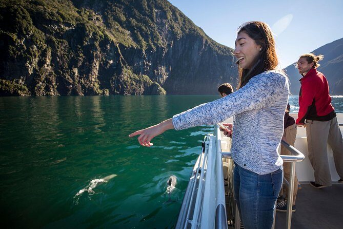 Milford Sound Nature Cruise with Southern Discoveries - Key Points