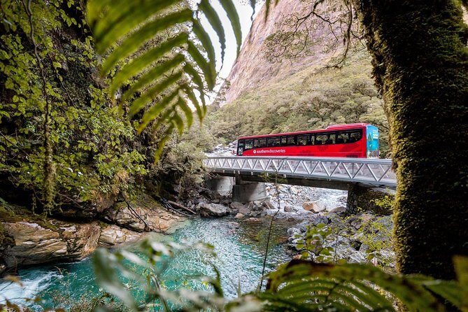 Milford Sound Premium Coach & Cruise from Queenstown with Lunch - Who Will Love This Tour?