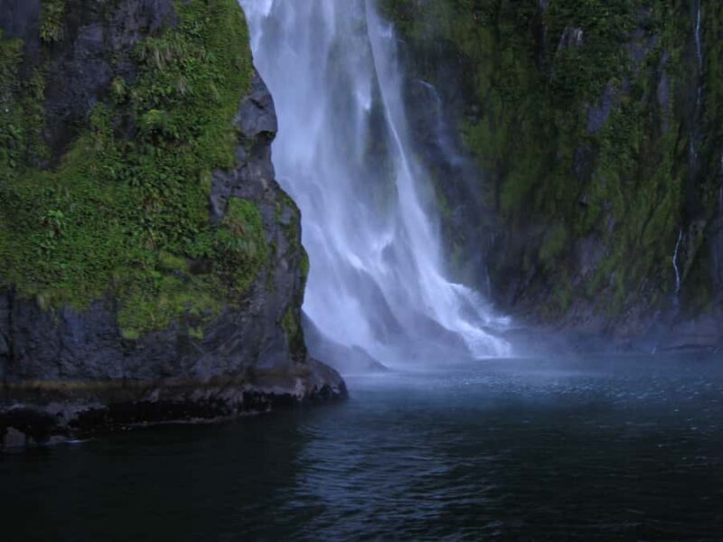 Milford Sound Premium Day Tour and Cruise from Te Anau - An Introduction to the Experience
