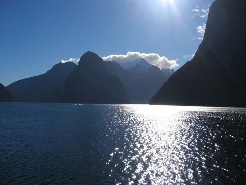 Milford Sound Premium Day Tour and Cruise from Te Anau - Who Will Love This Tour?
