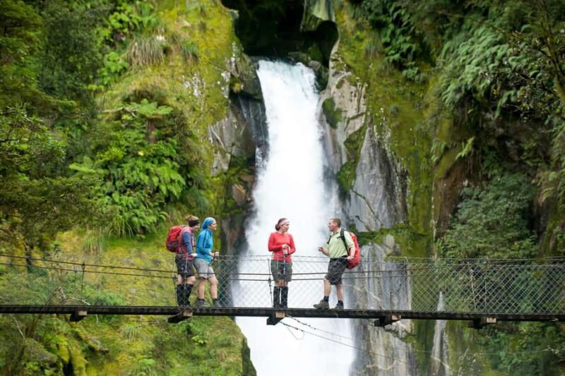Milford Track: Full Day Guided Hike and Nature Cruise - What to Expect from the Tour