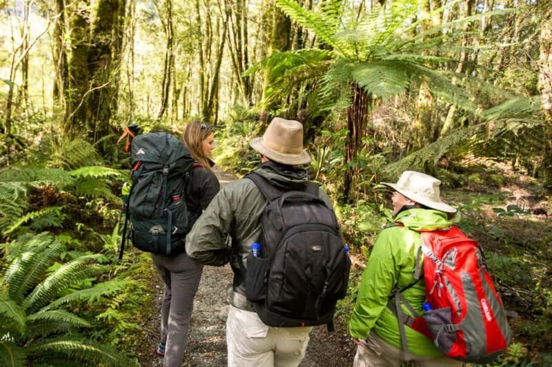 Milford Track: Full Day Guided Hike and Nature Cruise - Who Will Love This Tour?