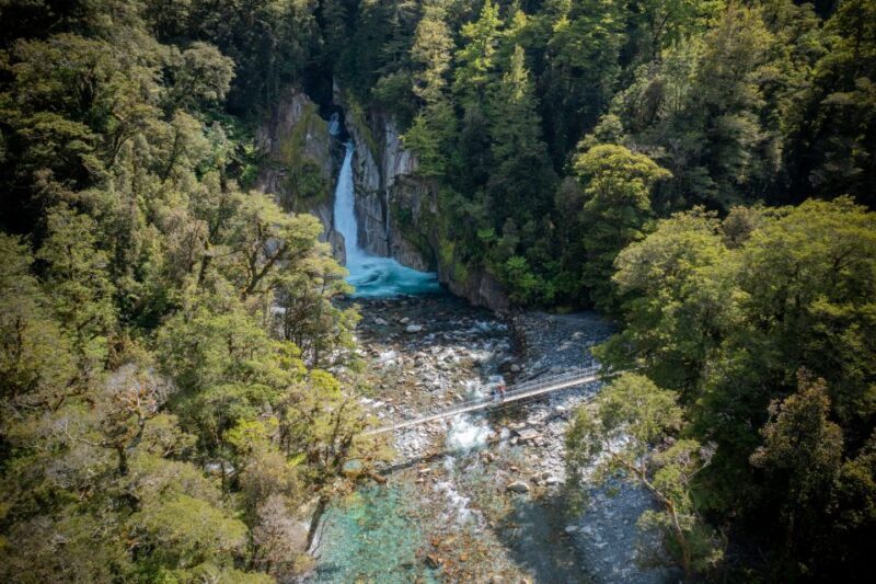 Milford Track: Full Day Guided Hike and Nature Cruise - Final Thoughts