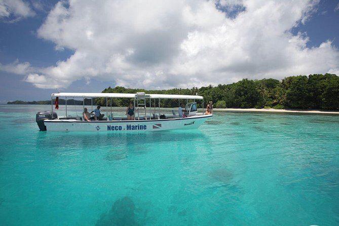 Milky Way, Shark City Island, Beach and Rock Island Tour - The Sum Up