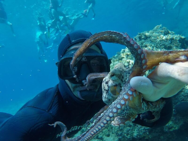 Milos: Half-Day Speedboat Cruise to Klefiko with Snorkeling - The Experience on the Water