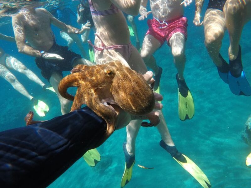 Milos: Half-Day Speedboat Cruise to Klefiko with Snorkeling - Food, Photos, and Overall Value