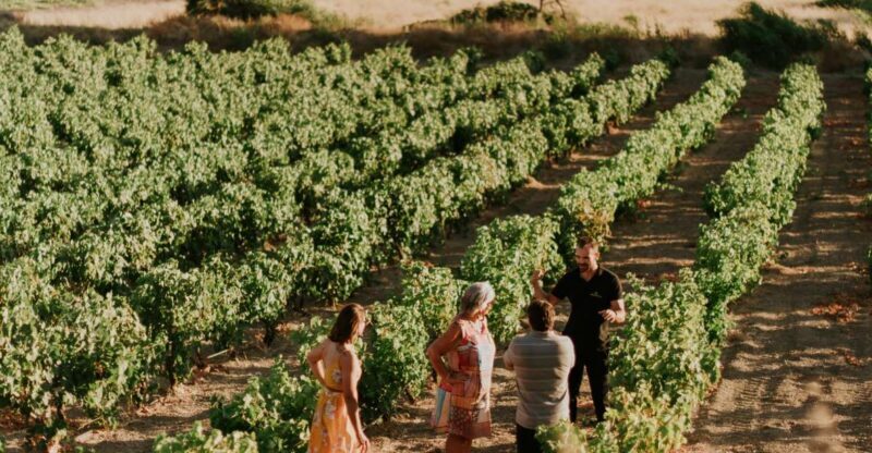 Milos Island: Kostantakis Winery Wine Tasting Experience - FAQ