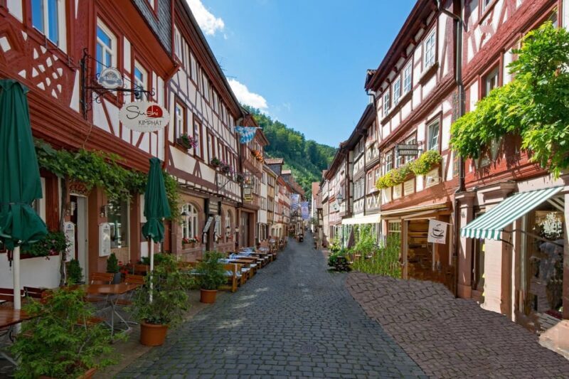 Miltenberg - Private Walking Tour - Analyzing the Value