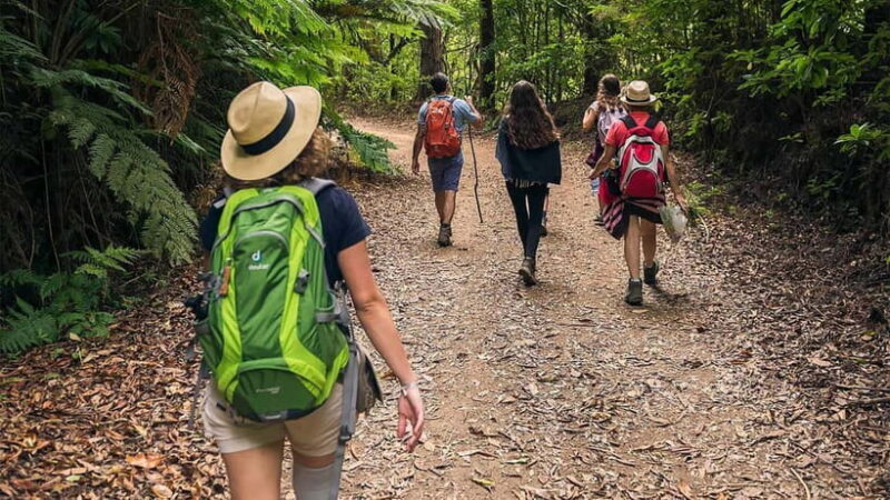 Mimosa Valley Trail: Explore Maroços - Final Thoughts