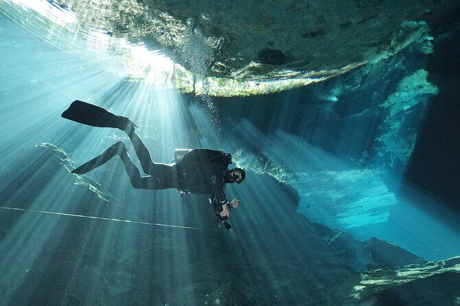 Mind Blowing Cenote Diving Experience In Playa del Carmen - What Makes This Tour Stand Out