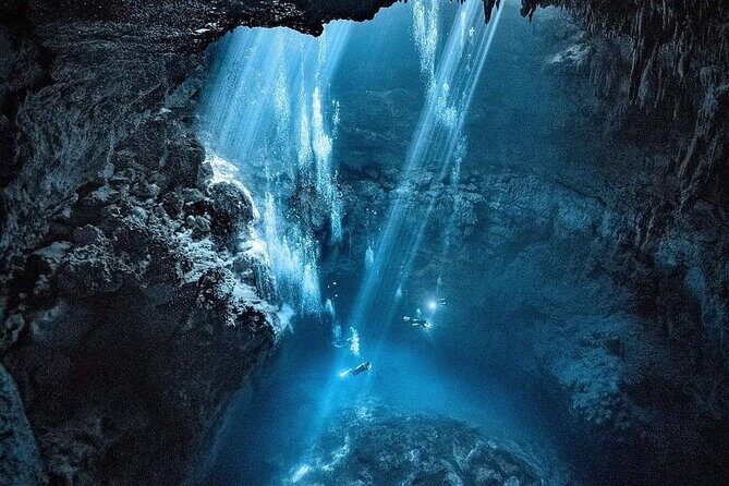 Mind Blowing Cenote Diving Experience In Playa del Carmen - Price and Value