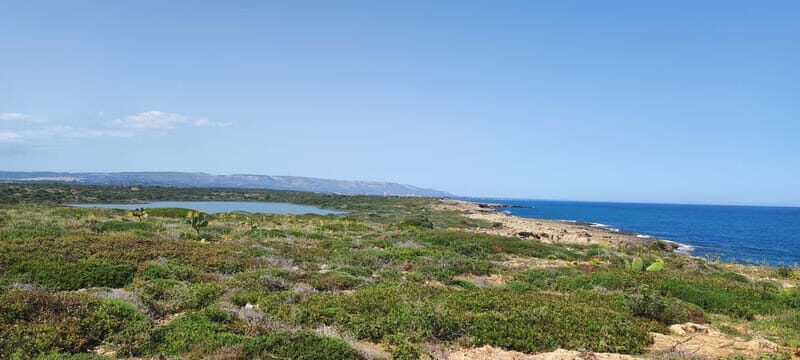 Mindfulness in Vendicari: discover the reserve through all your senses - Why Choose This Tour?