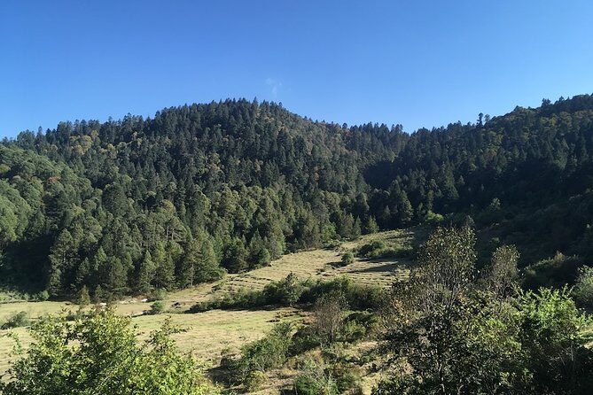 Mineral del Monte Hidalgo Mountain Bike Tour - Final Thoughts: Is It Worth It?