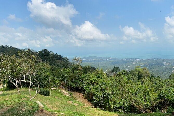 Mini ATV Safari 1 Hours Jungle Adventure Tour on Koh Samui - The Sum Up