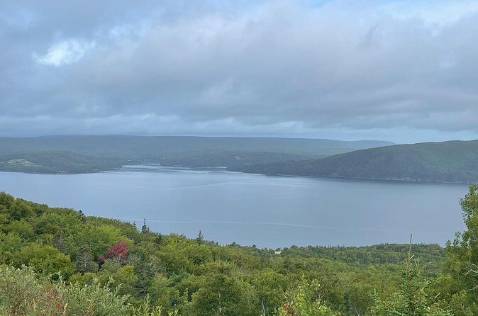 Mini Cabot Explorer - Authentic Traveler Feedback