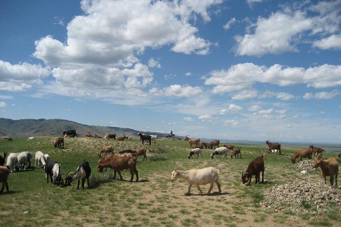 Mini Gobi and the ancient capital Kharkhorin - 4 days - The Sum Up