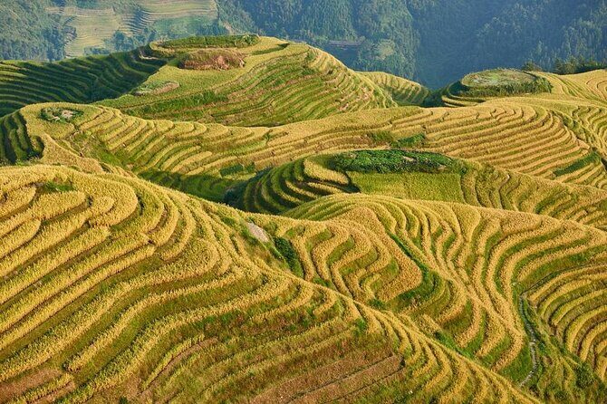 Mini Group: Longji Rice Terraced Fields and Minority Villages Tour - Starting the Day: Pickup and Journey